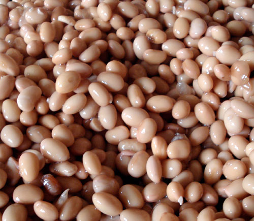 Use dried soy beans